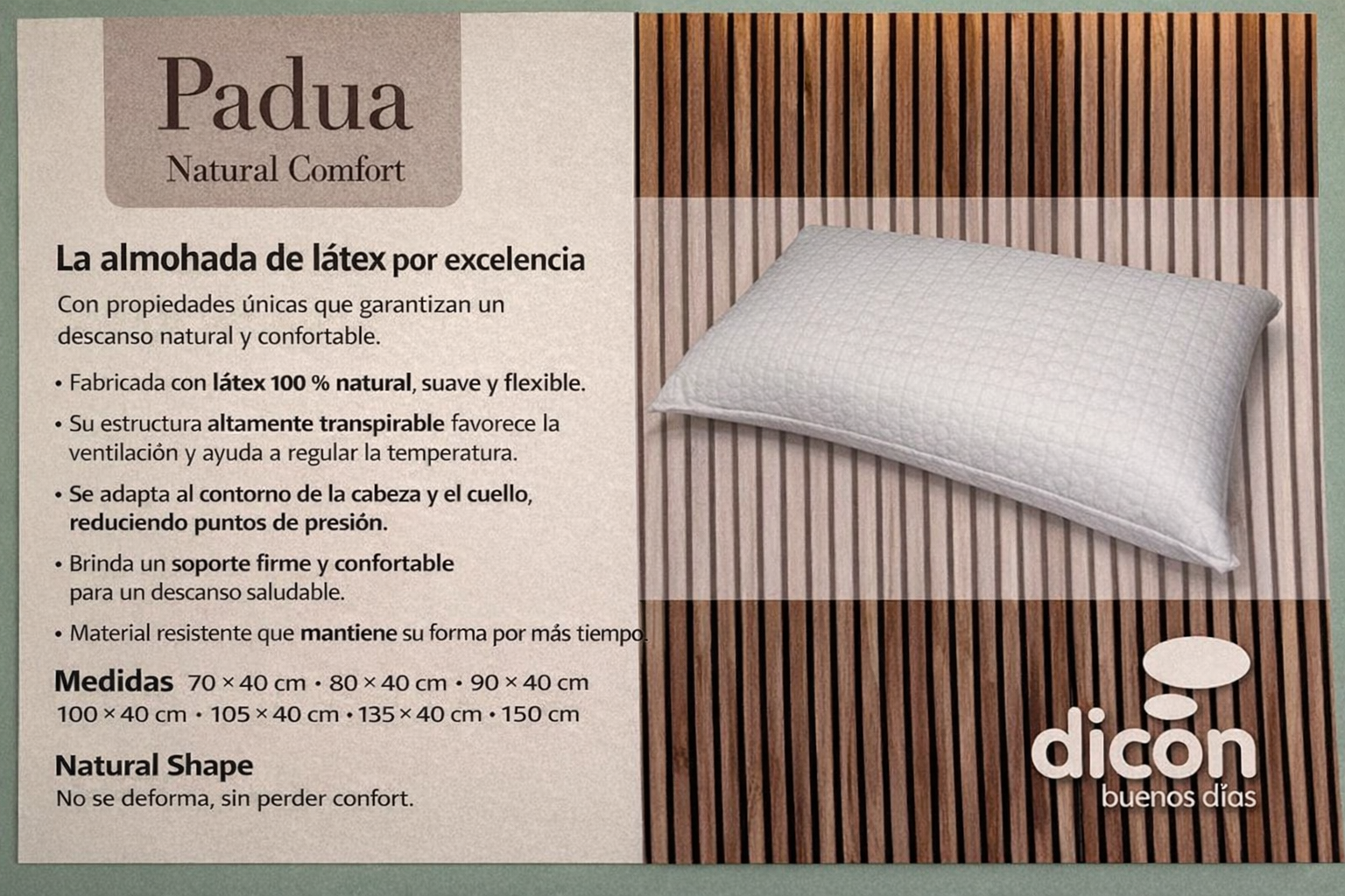 Almohada de Látex Padua Dicon
